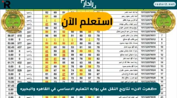 «ظهرت الآن» نتائج النقل على بوابة التعليم الأساسي في القاهرة والبحيرة